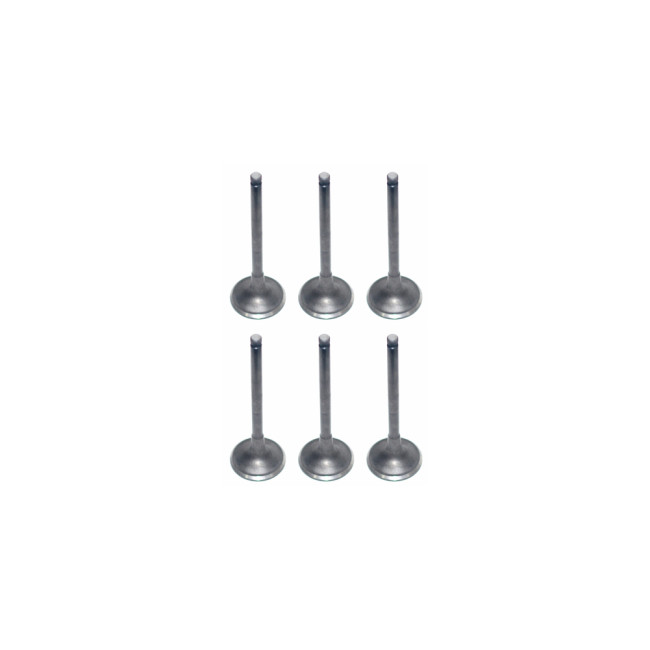 Intake Valve 3927254 for cummins diesel engine(6PCS)