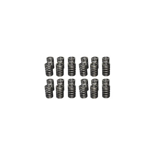 Valve spring 3944711(24PCS) Cummins diesel engine parts L8.9L 6LTAA
