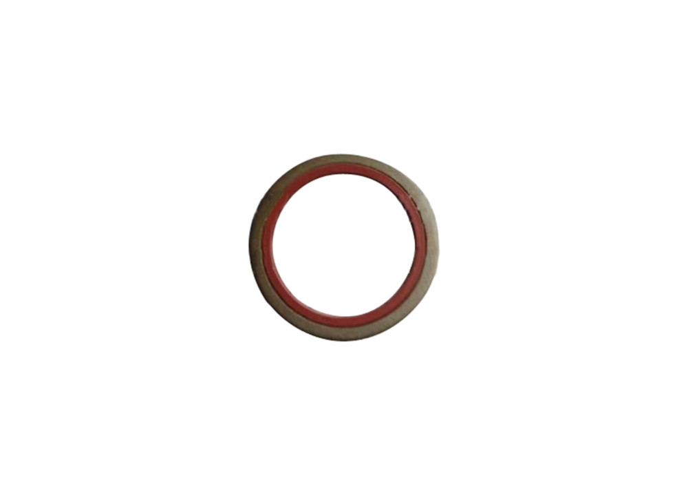Plain Washer 3900269 for cummins diesel engine(30PCS)
