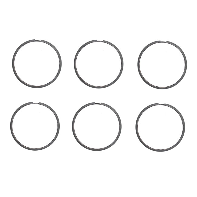 oil rings 3921919 for cummins diesel engine 6pcs