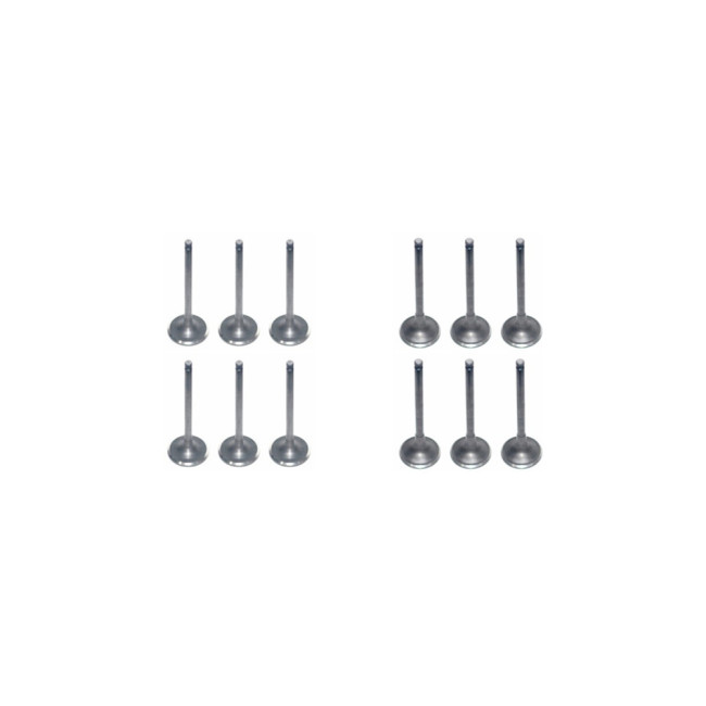 Dodge RAM 89-98 Cummins 5.9L Diesel engine parts Valve Intake/6pcs & Exhaust/6pcs)
