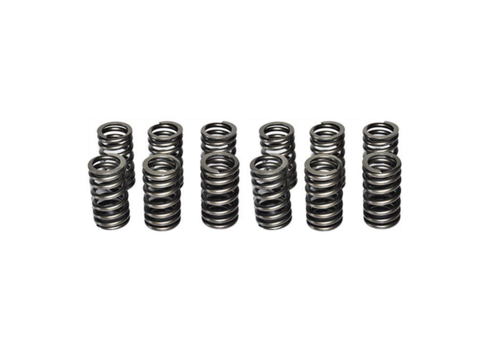 Dodge RAM 89-98 Cummins 5.9L Diesel engine parts Valve spring 12pcs