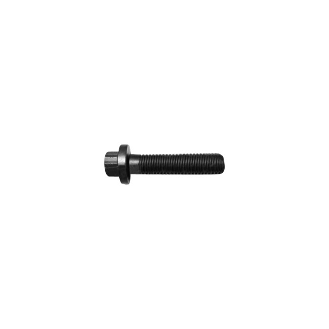 Twelve Point Cap Screw 3968466 for cummins diesel engine(30pcs)