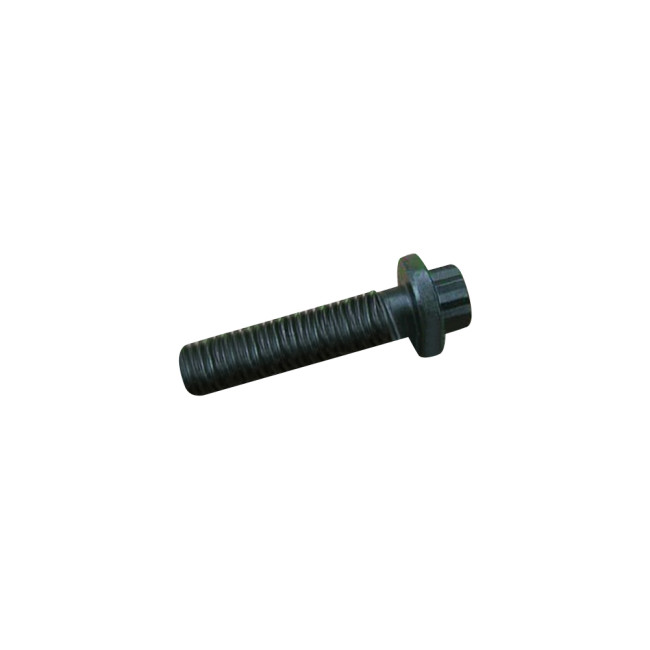 Twelve Point Cap Screw 4907093 for cummins diesel engine(30pcs)