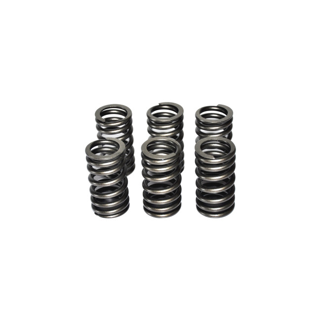 Valve Spring 3916691 for cummins diesel engine(6PCS)
